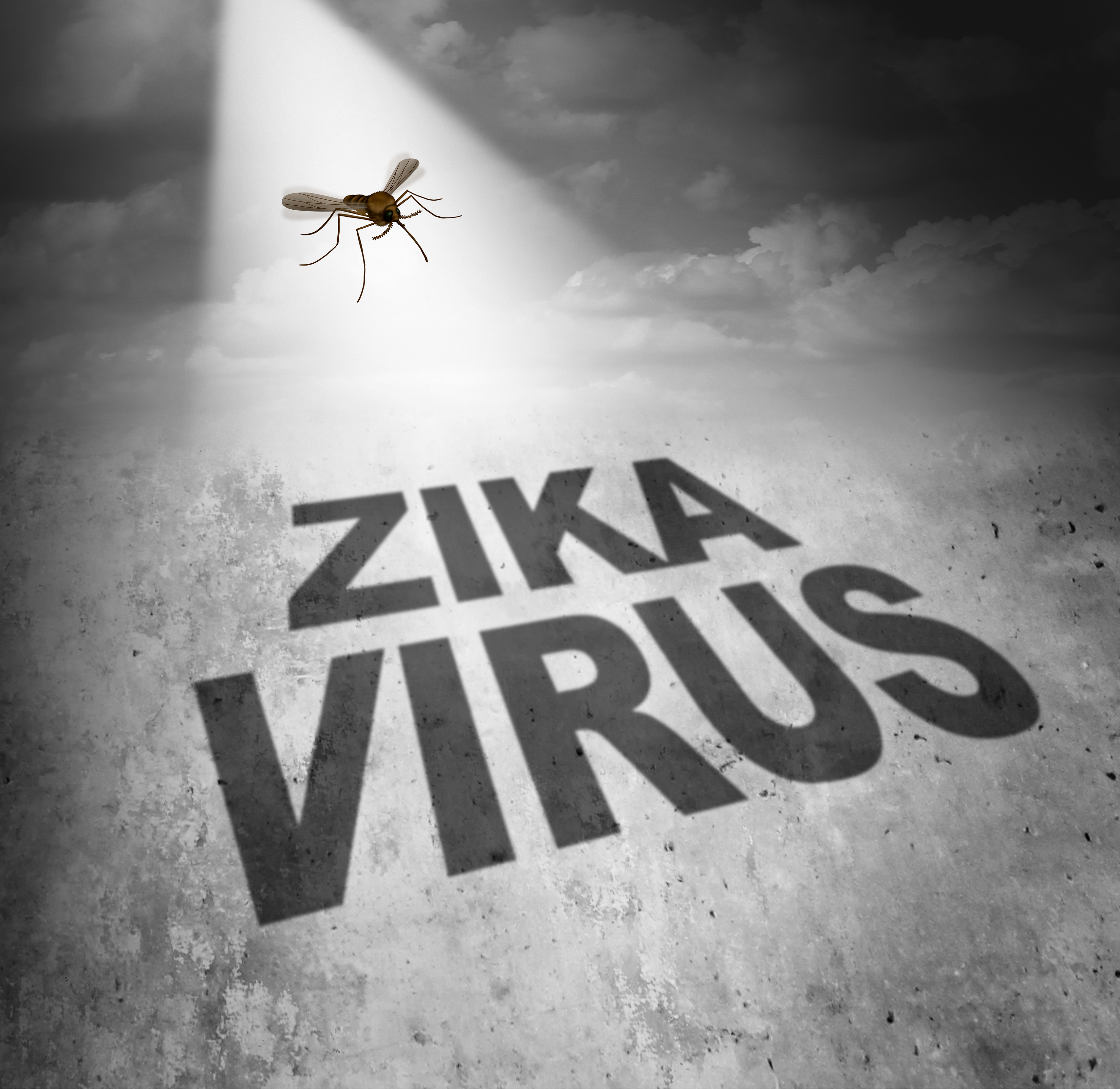Zika Virus 2831